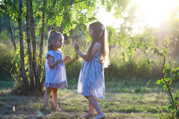 Fototapeta premium Children walk in the summer in nature. Child on a sunny spring morning in the park. Traveling with children.