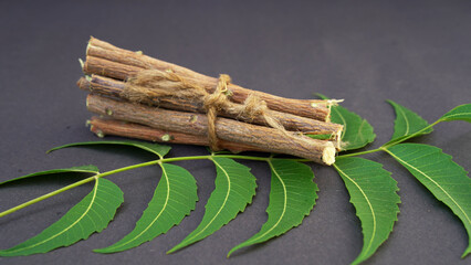 Azadirachta indica - A branch of neem tree leaves. Natural Medicine.