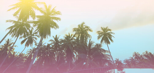 The banner of Summer colorful theme with palm trees background as texture frame image background