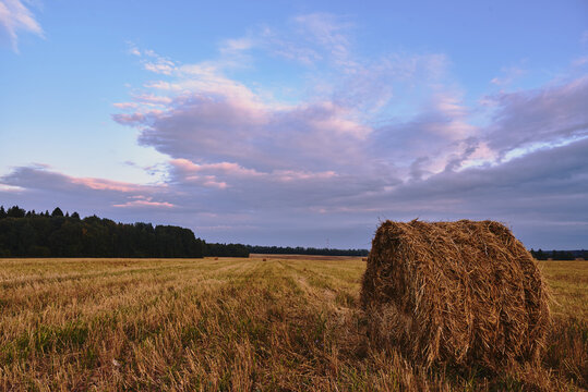 A mown field with haystacks under a cloudy sky at sunset.