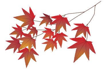紅葉のイラスト