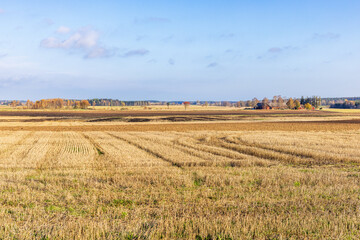 Fototapeta na wymiar Landscape view at stubble field