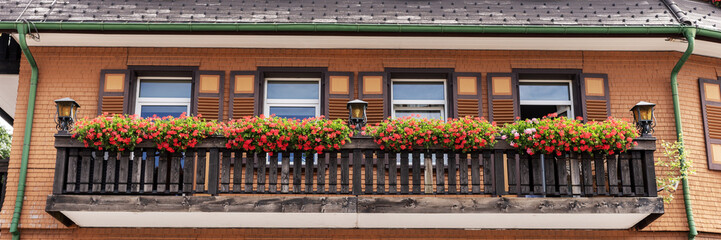Fototapeta na wymiar Long balcony decorated with beautiful blooming potted plants on sunny day. Panorama