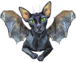 Watercolor oriental black cat with bat wings. Painting animal illustration