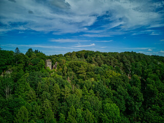 Fototapeta na wymiar Old castle in forest
