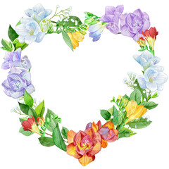 Watercolor illustration freesia heart shaped wreath. Vintage watercolor colorful illustration on white backdrop.