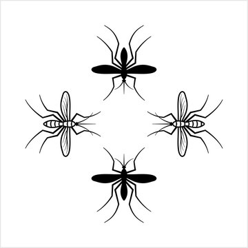 Mosquito Icon, Mosquitos Insect Icon