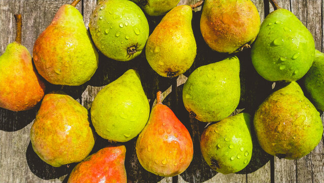 Many pears scattered on a gray background. Old background