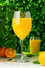glass of fresh orange juice with fresh fruits over a green background. fresh orange juice
