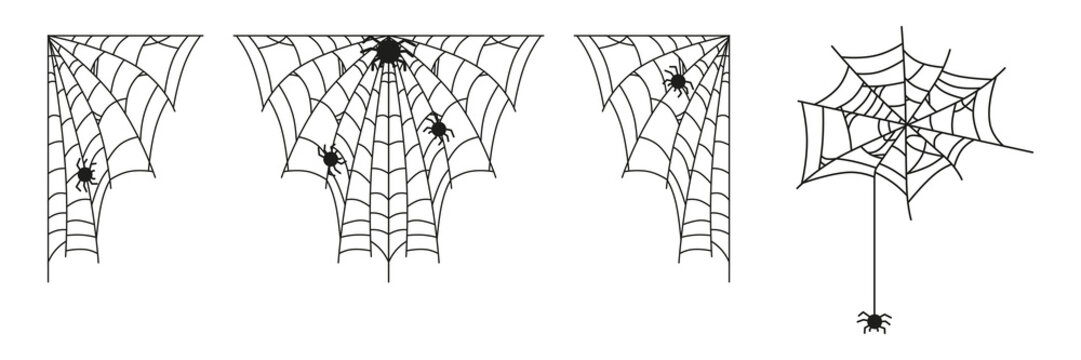 A set of spider webs for holiday decorations, nature booklets and spider department, etc.