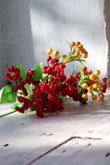 autumn still life