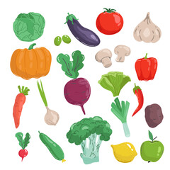Hand drawn vegetable set, cartoon style vector illustration isolated on white background. Fresh, organic, delicious vegetables, healthy vegetarian food. Vegan menu. Tomato, eggplant, pumpkin, garlic..