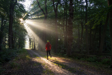 A man running in a lane on a sunny morning in a forest.