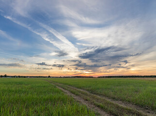 Evening landscape, sunset in the field. Rural agriculture in the evening light.