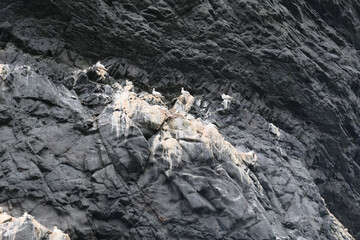 UNESCO Naturerbe Vogelinsel BORERAY, St. Kilda, Schottland