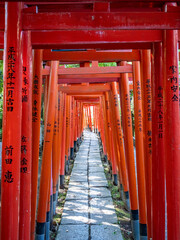 Tunnel of Torii gates in a shinto shrine in Tokyo, Japan