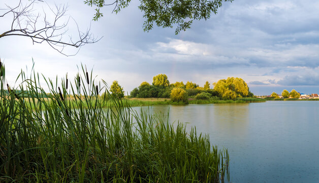 The sun's rays illuminate the forest on the horizon. Rainbow over the lake. Rogoz in the foreground. Thunderclouds in the sky.