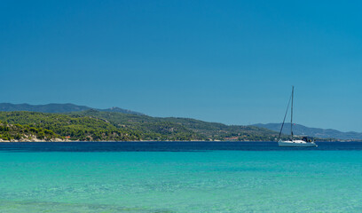 Sea coast at the summer