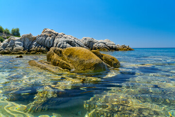 Sea coast at the summer