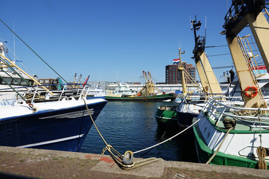 Netherland.  The harbor of the fishing industry in IJmuiden