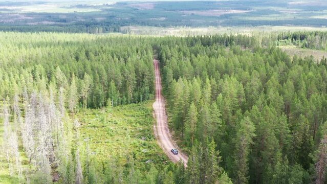 v&eacute;hicule gris qui roule sur un chemin, foret en su&egrave;de, Scandinavie