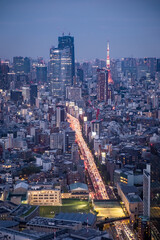 Night view from the the sky of the city skyline of Tokyo in Japan