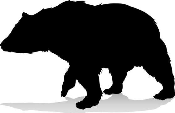 Bear Animal Silhouette