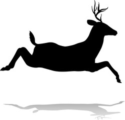 Deer Animal Silhouette