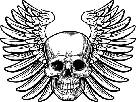 recommend clip art: Winged Skull Drawing