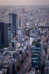aerial view of the urban architecture of Tokyo from the sky