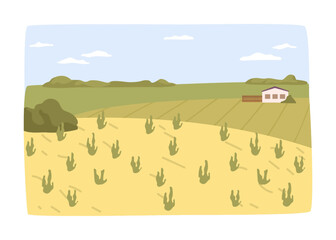 Fototapeta premium Agriculture business, farming and tending for crops. Harvesting season in rural area or village, countryside with farmhouses and sheds or barns. Vector in flat style