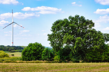 Wiesen, Felder, Äcker, Bäume und Windräder beim Ortsausgang Loccum Richtung Wasserstraße