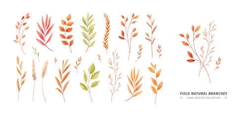 Hand drawn vector watercolor illustrations. Botanical clipart ( leaves, flowers, herbs, branches). Dry florals. Autumn Floral Design elements. Perfect for wedding invitations, cards, prints
