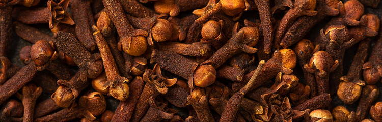 Carnation on a close-up macro as a background and texture. Indian spices for cooking. Carnation seed background with place for text