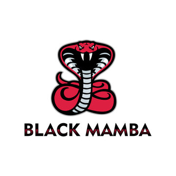 modern abstract logo mamba snake suitable for company logo