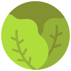 Obraz premium Cabbage Vegetable Icon