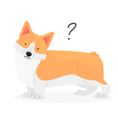 Fototapeta premium A corgi dog with a question mark. Dog question. An uncomprehending dog with its head tilted. Pet illustration.