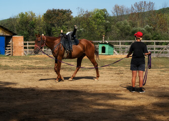 A girl rides a horse to master various elements of horseback riding.