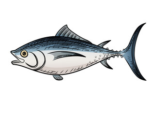Marine tuna seafood fish cartoon design vector illustration isolated on white background