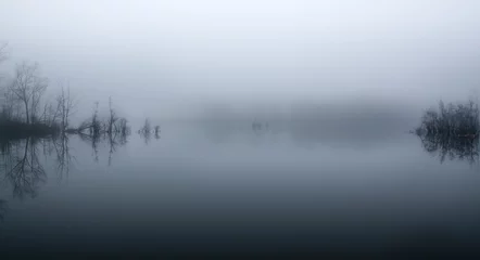 Foto auf Acrylglas mystical landscape of an island on a lake © dodes11