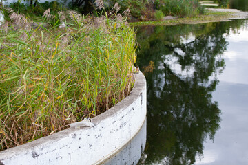 Lake in the city park, autumn, reflection in the water, beautiful buildings.