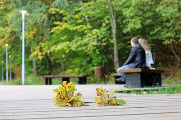 Autumn season, fallen oak leaves on wooden path, defocused view to couple sitting on a bench in city park