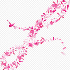 Red Apple Vector Transparent Background. Petal