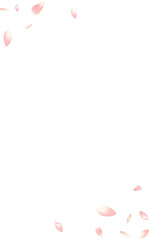 Color Lotus Petal Vector White Background. White