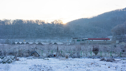 a quiet countryside covered with snow at dawn