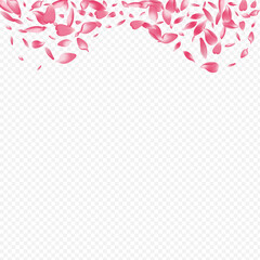 Red Bloom Vector Transparent Background. Rosa