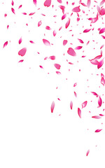 Pink Flower Japan Vector White Background. Beauty