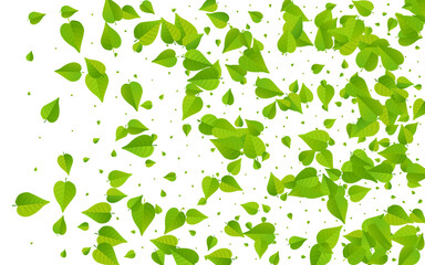Forest Leaves Nature Vector White Background