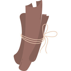 Spice. cinnamon sticks