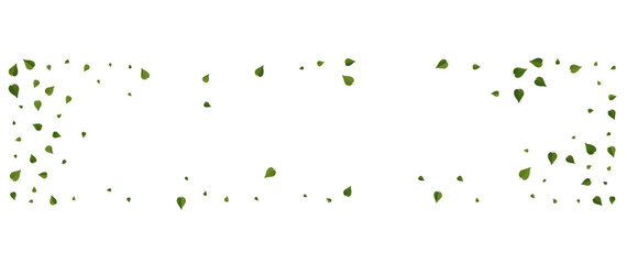 Grassy Greens Organic Vector Panoramic White